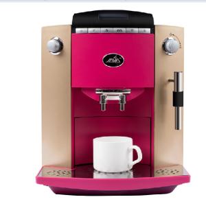 JAVA/鼎瑞WSD18-010A家用意式全自动咖啡机