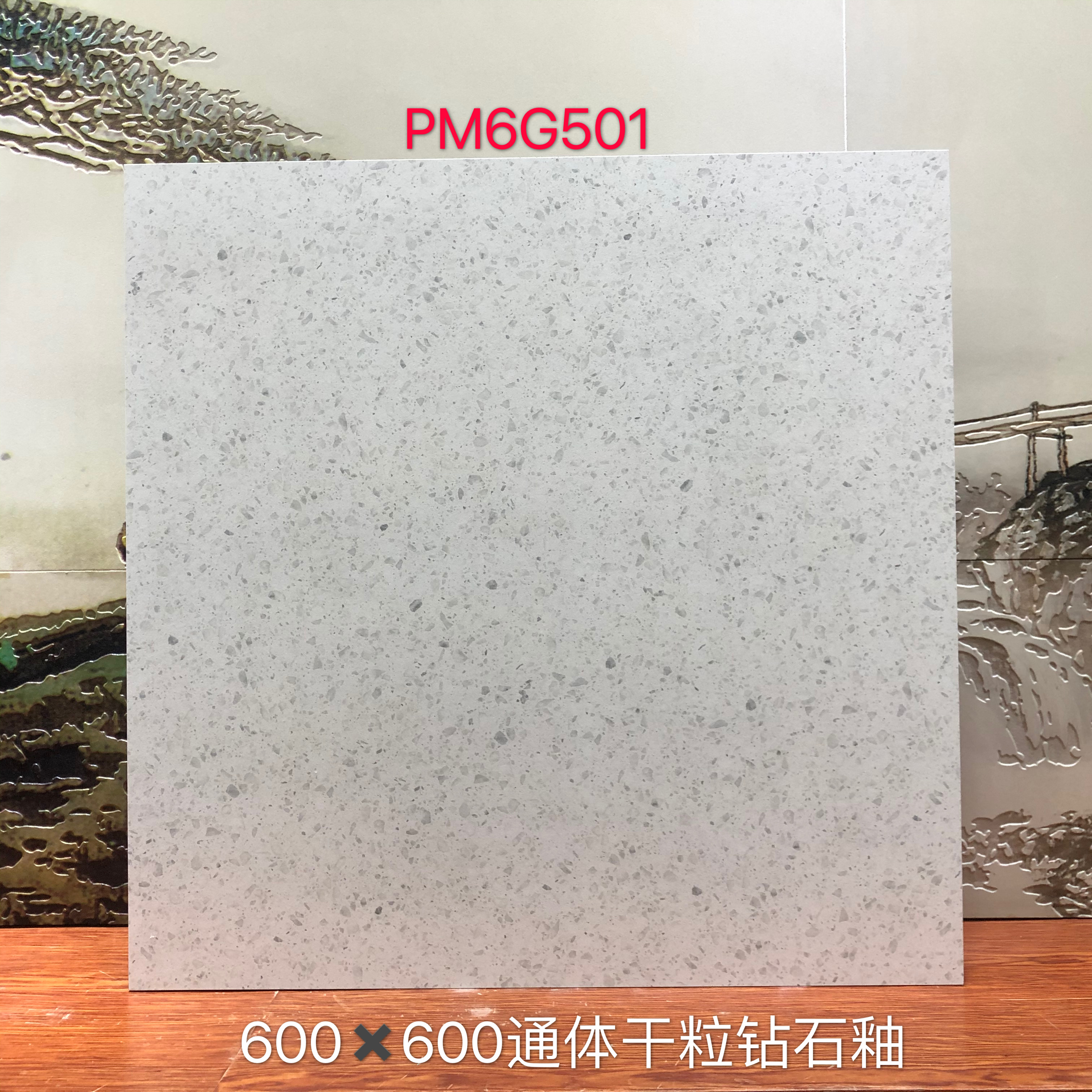 PM6G501