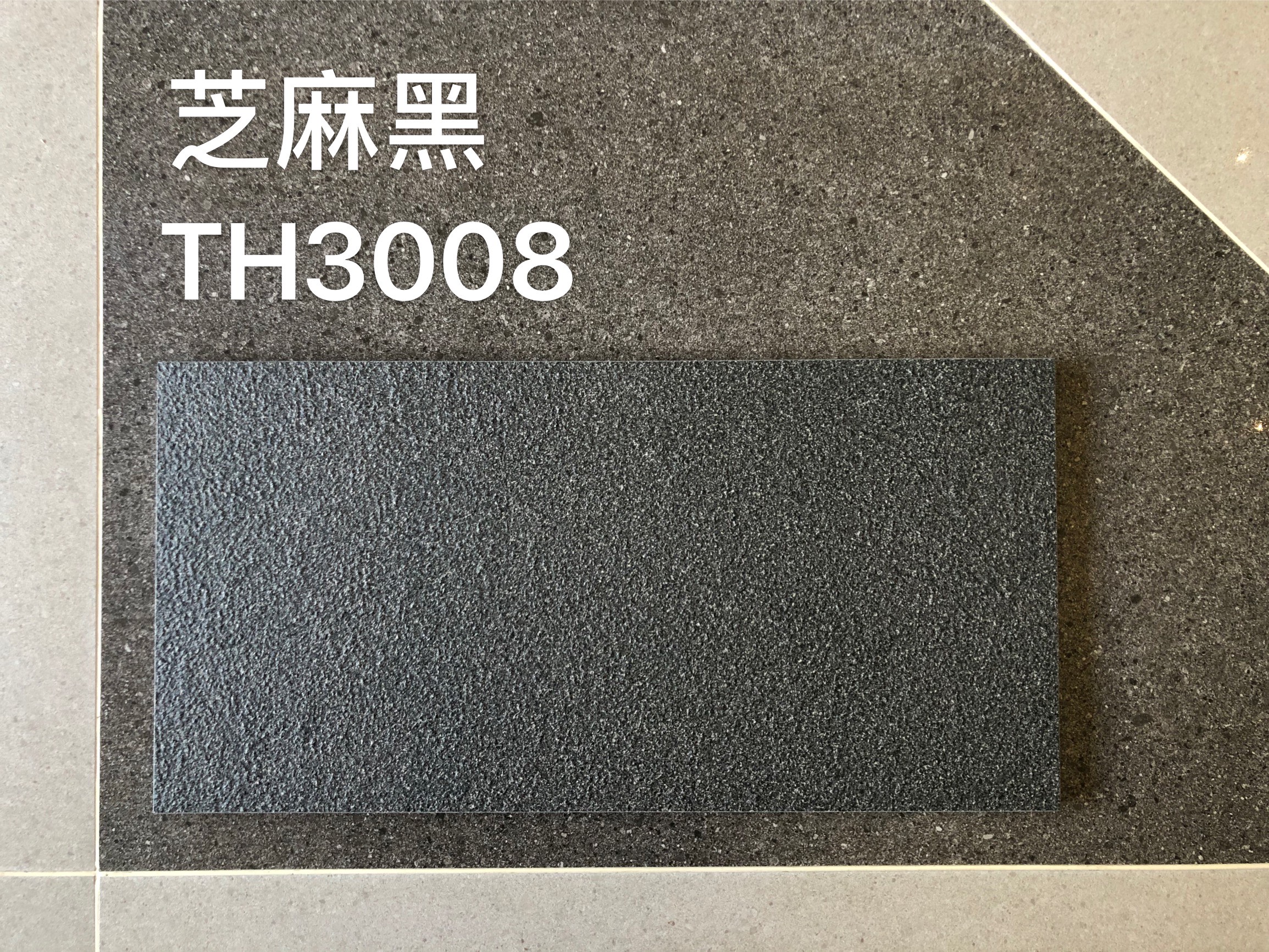 TH3008