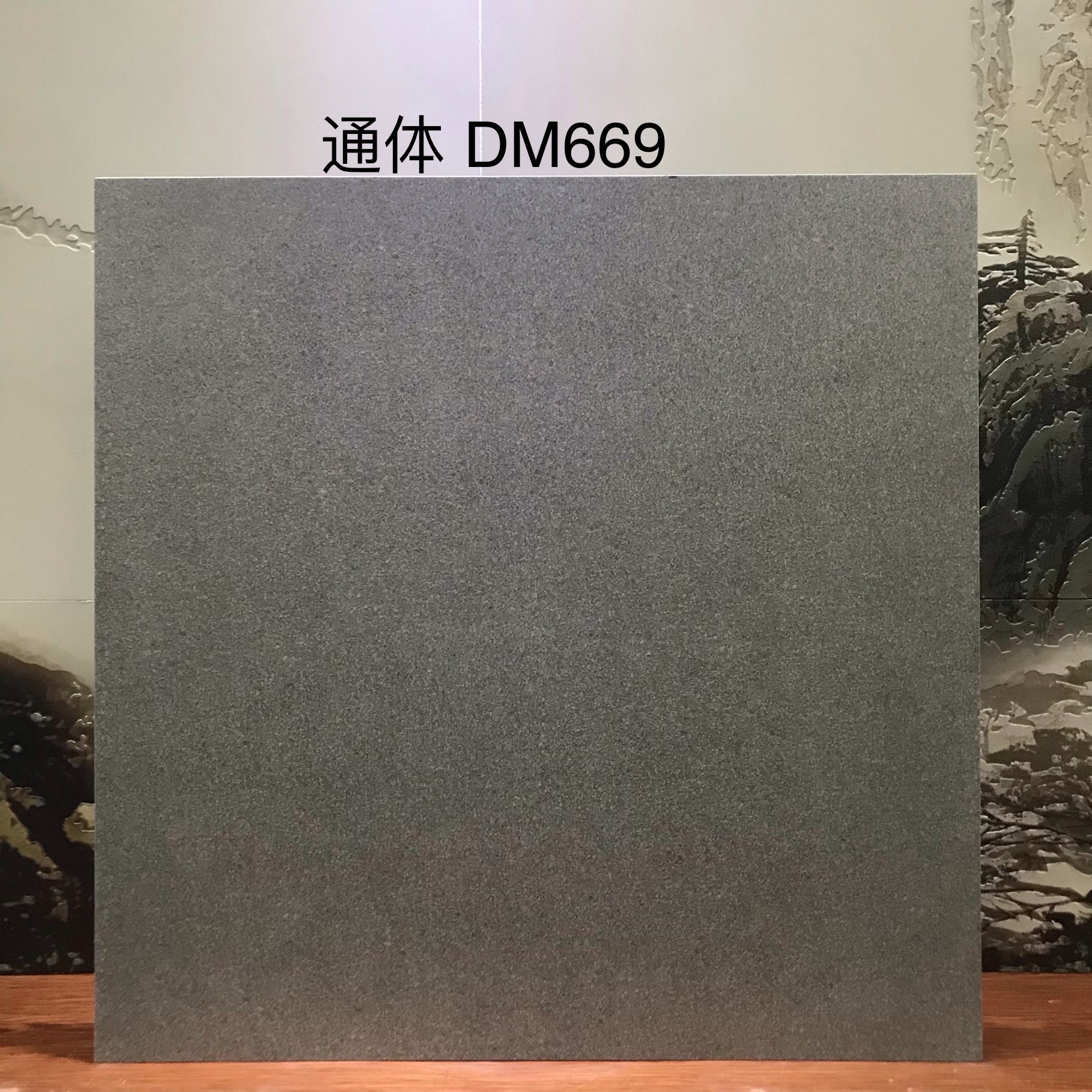 DM669