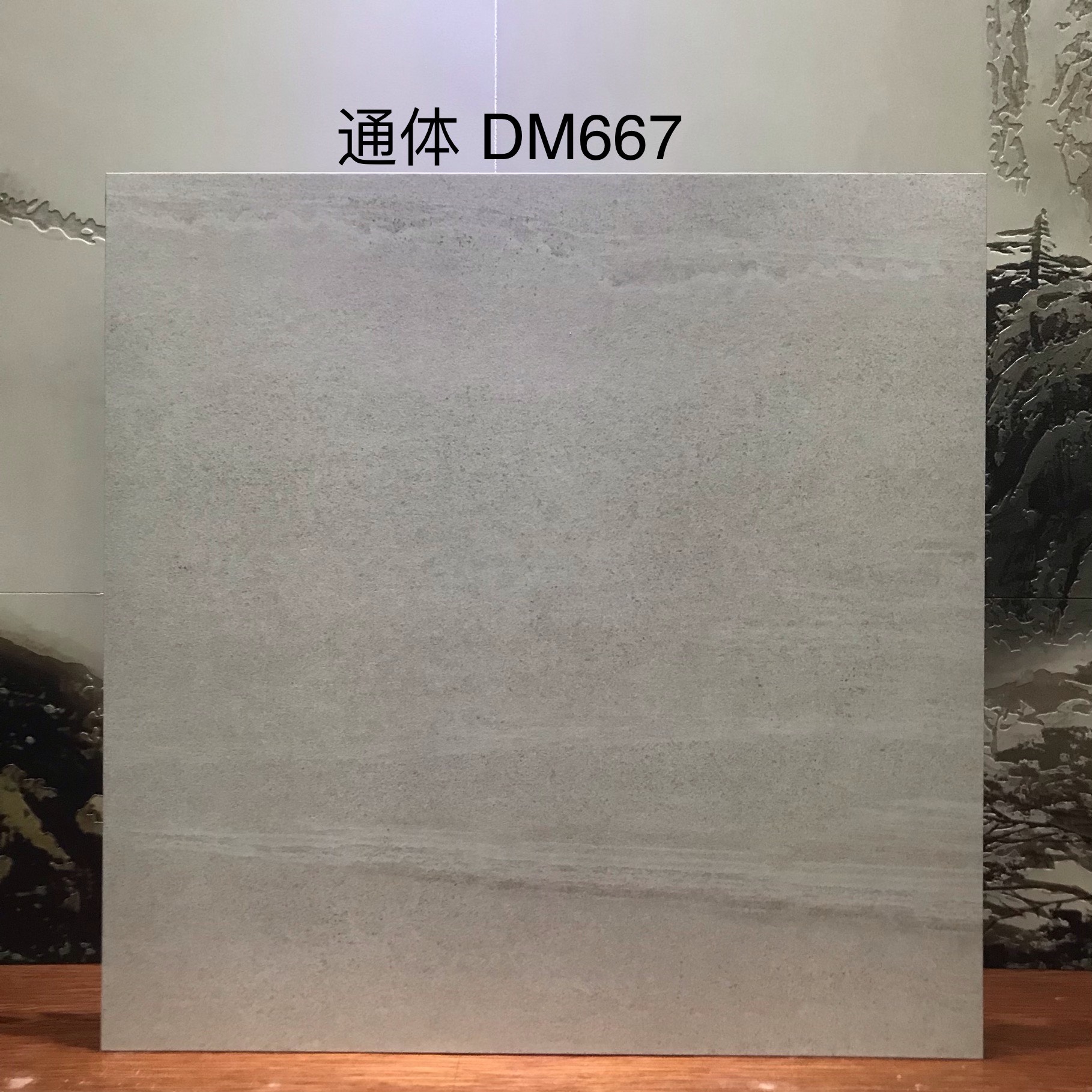 DM667