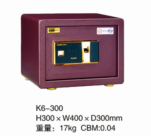 K6-精品全钢指纹 K6-300